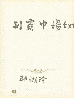制霸中场txt