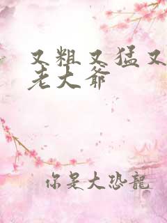 又粗又猛又大爽老大爷