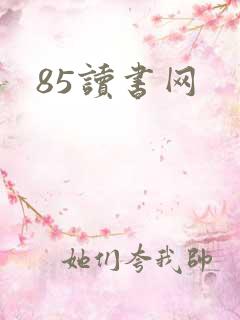 85读书网