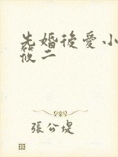 先婚后爱小说梦筱二