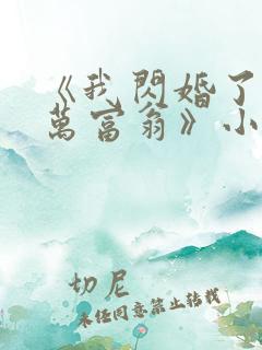 《我闪婚了个亿万富翁》小说