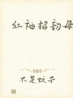 红袖招韵母攻略
