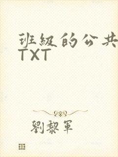 班级的公共玩具TXT