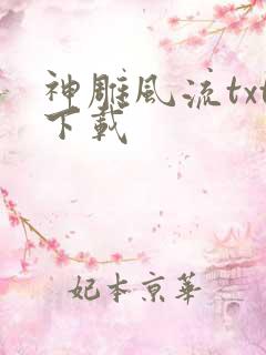 神雕风流txt下载