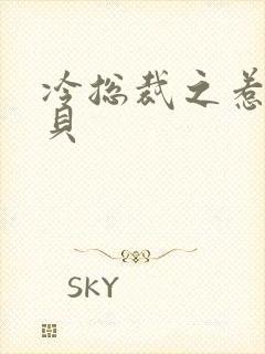 冷总裁之惹火宝贝