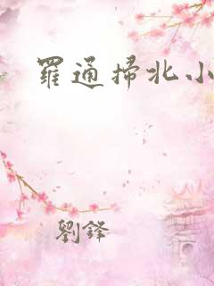 罗通扫北小说