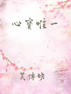 心宝唯一