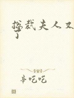 总裁夫人又征婚了