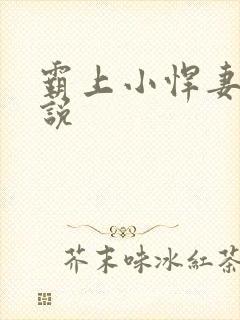 霸上小悍妻 小说