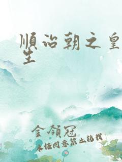 顺治朝之皇后重生