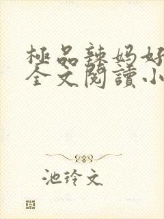 极品辣妈好v5全文阅读小说