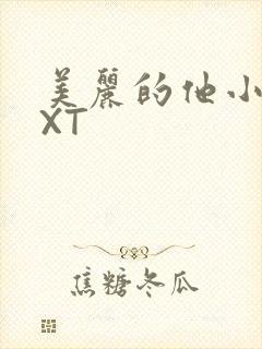 美丽的他小说TXT