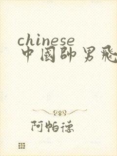 chinese中国帅男飞机