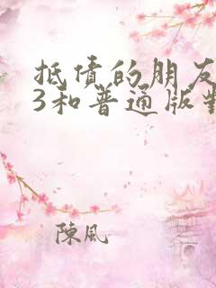 抵债的朋友麦子3和普通版对比