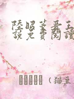 陆昭菱晋王的小说免费阅读