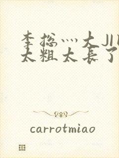 李总灬大JI巴太粗太长了