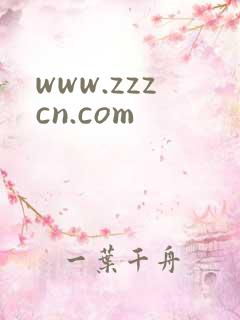 www.zzzcn.com