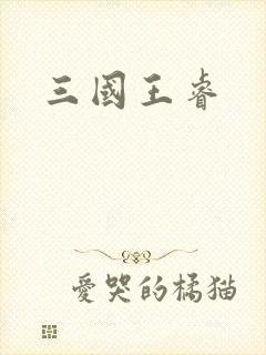 三国王睿