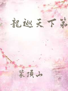 龙巡天下第四部