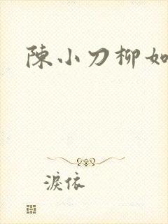 陈小刀柳如意