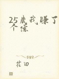 25岁我赚了3个亿