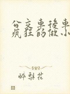 公交车后车座的疯狂的做小