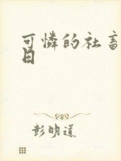 可怜的社畜东度日