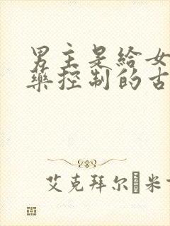 男主是给女主喂药控制的古言