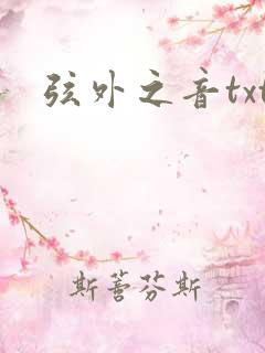 弦外之音txt