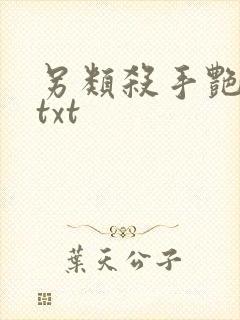 另类杀手艳福星txt