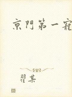 京门第一宠