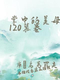 掌中的美母版主120慕卷