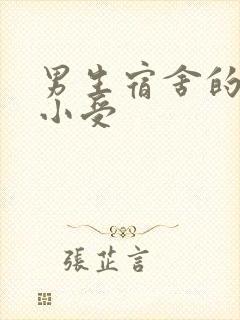 男生宿舍的公共小受