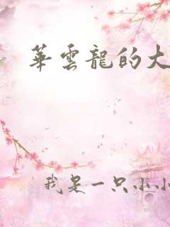 华云龙的大宝贝