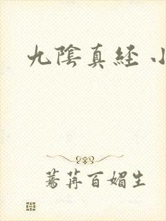 九阴真经 小说