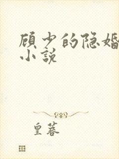 顾少的隐婚罪妻小说