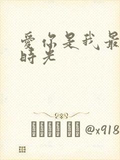 爱你是我最好的时光