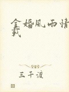 金婚风雨情 下载