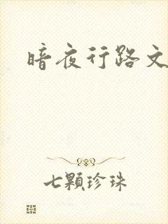 暗夜行路文集
