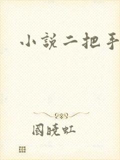 小说二把手