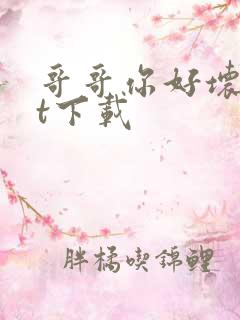 哥哥你好坏txt下载