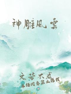 神雕风云
