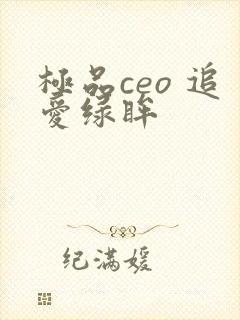 极品ceo 追爱绿眸