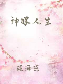 神眼人生