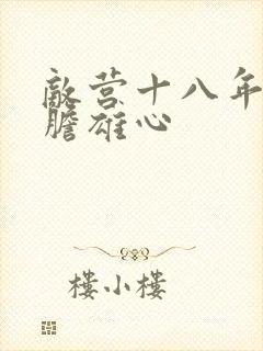 敌营十八年2虎胆雄心