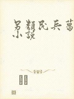 另类民兵葛二蛋小说