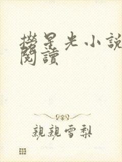 捞星光小说免费阅读