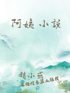 阿姨 小说