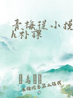 青梅从小摸到大h补课