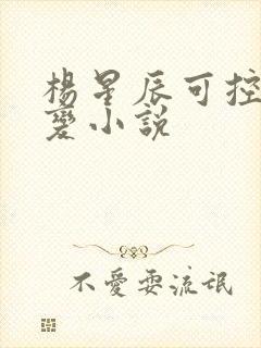 杨星辰可控核聚变小说